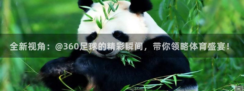 全新视角：@360足球的精彩瞬间，带你领略体育盛宴！