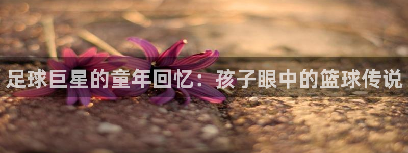  足球巨星的童年回忆：孩子眼中的篮球传说