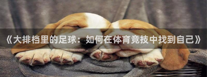  《大排档里的足球：如何在体育竞技中找到自己》