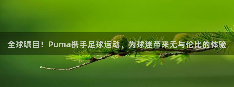  全球瞩目！Puma携手足球运动，为球迷带来无与伦比的体验