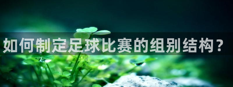 如何制定足球比赛的组别结构？