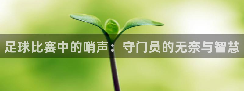 足球比赛中的哨声：守门员的无奈与智慧