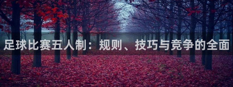  足球比赛五人制：规则、技巧与竞争的全面