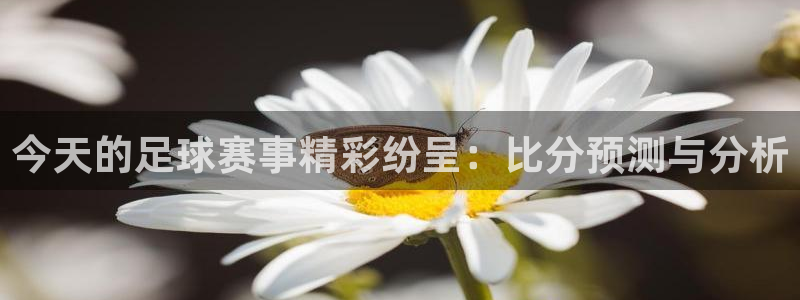  今天的足球赛事精彩纷呈：比分预测与分析