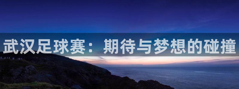  武汉足球赛：期待与梦想的碰撞