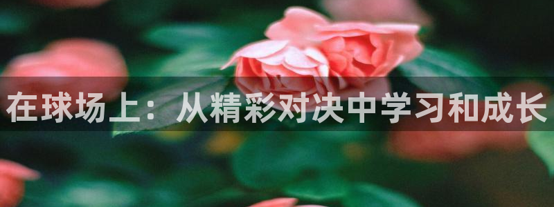 在球场上：从精彩对决中学习和成长