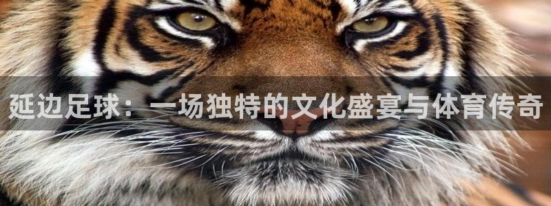 延边足球：一场独特的文化盛宴与体育传奇