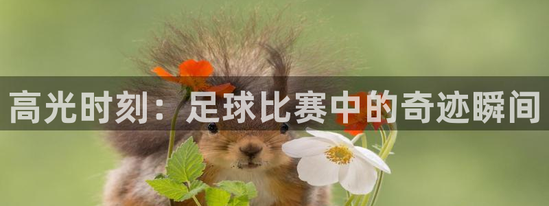 高光时刻：足球比赛中的奇迹瞬间