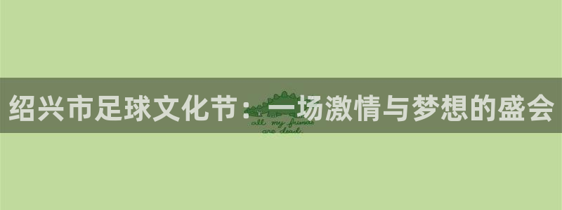  绍兴市足球文化节：一场激情与梦想的盛会