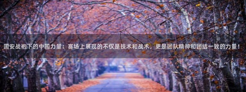 雨燕nba直播网：国安战袍下的中国力量：赛场上展现的不仅是技术和战术，更是团队精神和团结一致的力量！