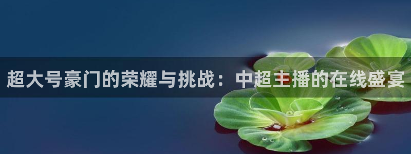 雨燕足球在线直播免费：超大号豪门的荣耀与挑战：中超主播的在线盛宴