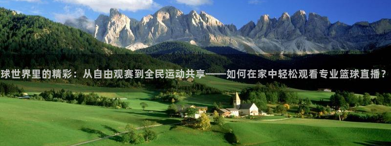 nba在线观看直播免费雨燕：球世界里的精彩：从自由观赛到全民运动共享——如何在家中轻松观看专业篮球直播？