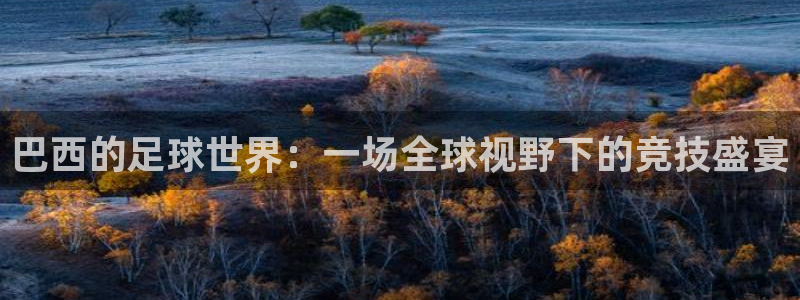 巴西的足球世界：一场全球视野下的竞技