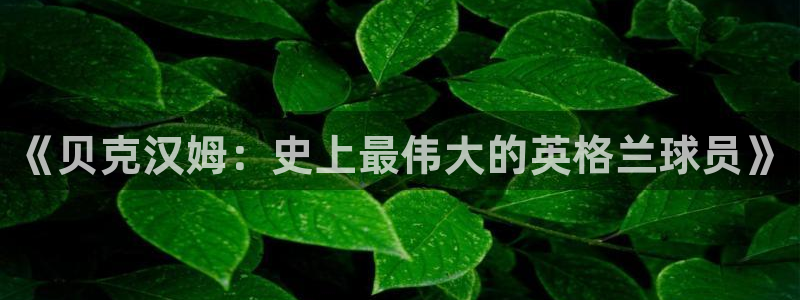 《贝克汉姆：史上最伟大的英格兰球员》