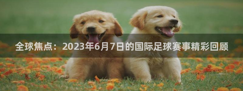全球焦点：2023年6月7日的国际足