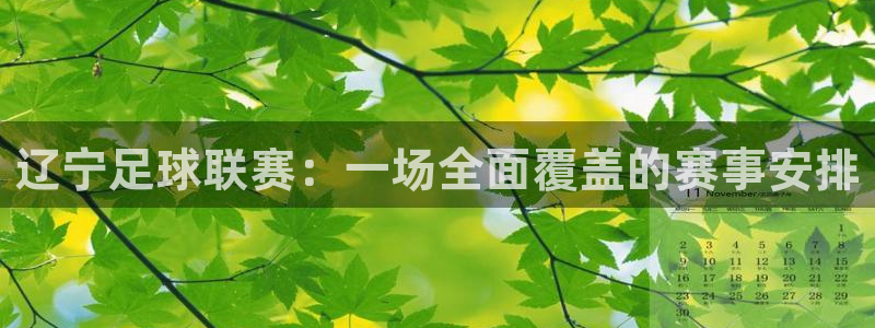 辽宁足球联赛：一场全面覆盖的赛事安排