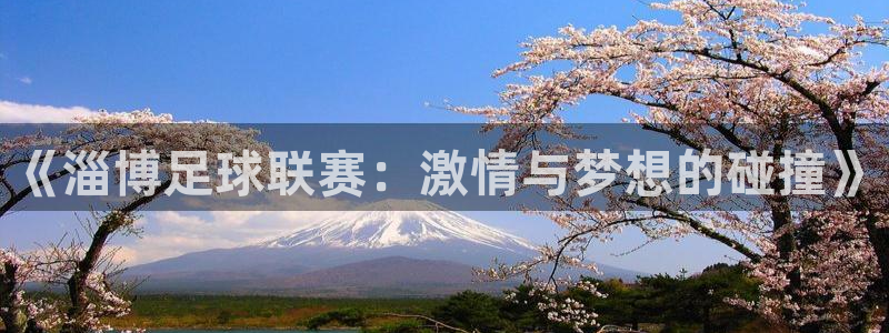 《淄博足球联赛：激情与梦想的碰撞》