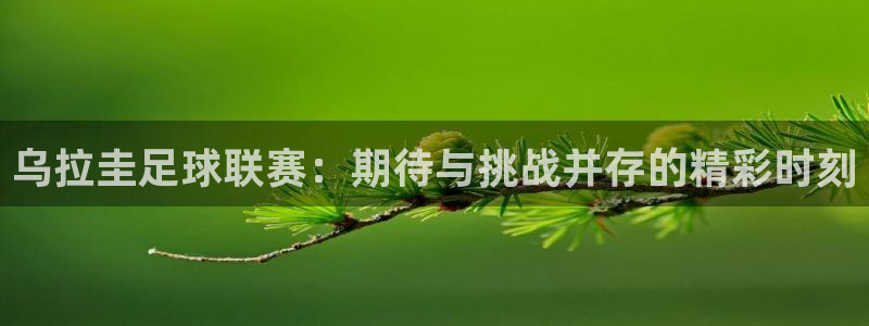 乌拉圭足球联赛：期待与挑战并存的精彩时刻