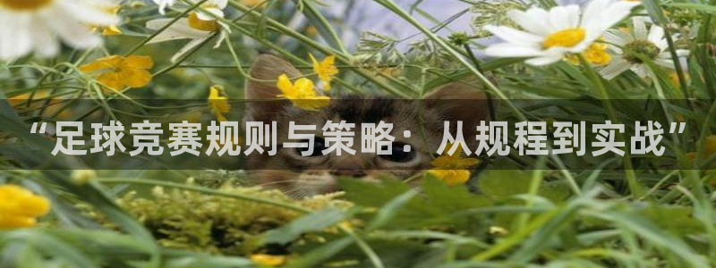 “足球竞赛规则与策略：从规程到实战”