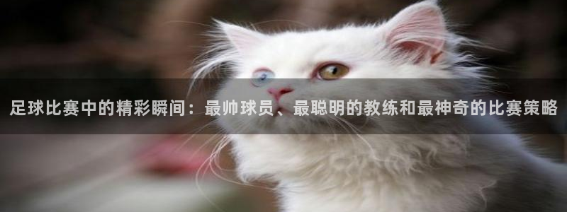 足球比赛中的精彩瞬间：最帅球员、最聪明的教练和最神奇的比赛策