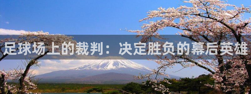 足球场上的裁判：决定胜负的幕后英雄