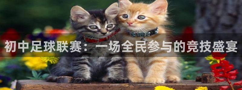 初中足球联赛：一场全民参与的竞技盛宴