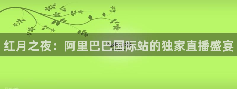 新雨燕体育足球直播：红月之夜：阿里巴巴国际站的独家直播盛宴
