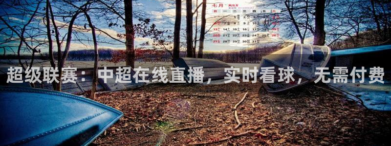 雨燕360体育足球免费直播：超级联赛：中超在线直播，实时看球，无需付费