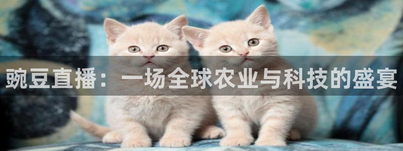 雨燕360直播足球：豌豆直播：一场全球农业与科技的盛宴