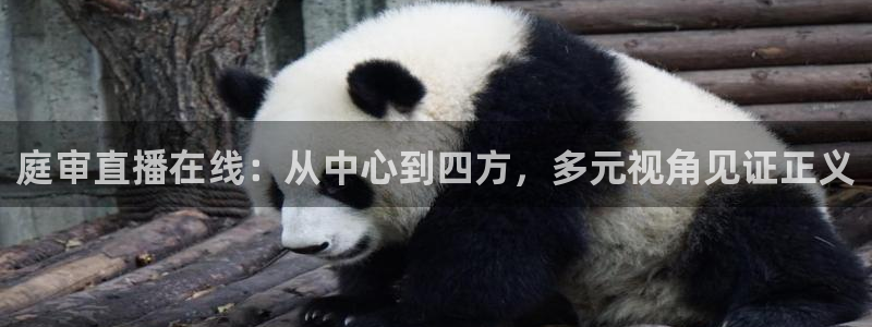 nba免费雨燕直播：庭审直播在线：从中心到四方，多元视角见证正义