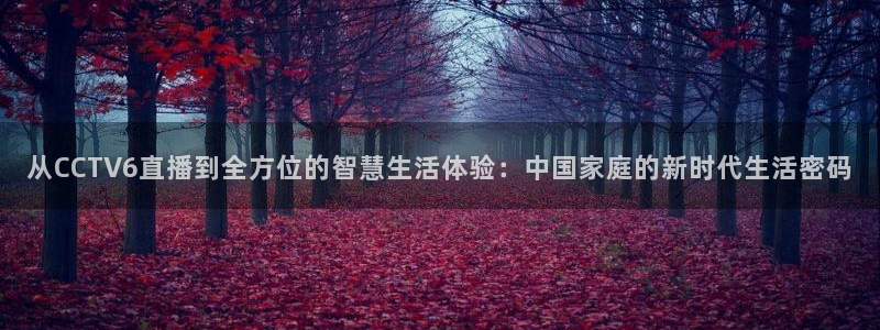 雨燕nba直播：从CCTV6直播到全方位的智慧生活体验：中国家庭的新时代生活密码