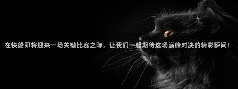 体育直播雨燕：在快船即将迎来一场关键比赛之际，让我们一起期待这场巅峰对决的精彩瞬间！